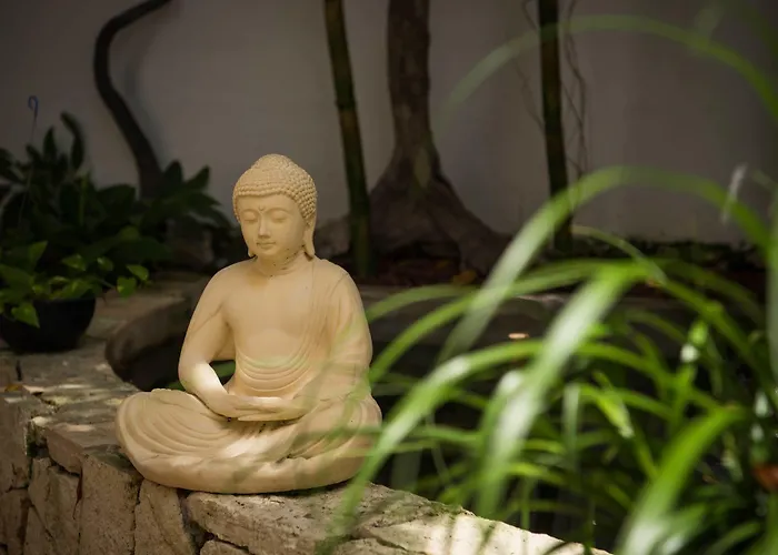 Apartahotel Ocean Zen On 5th Avenue - Adults Only 4*